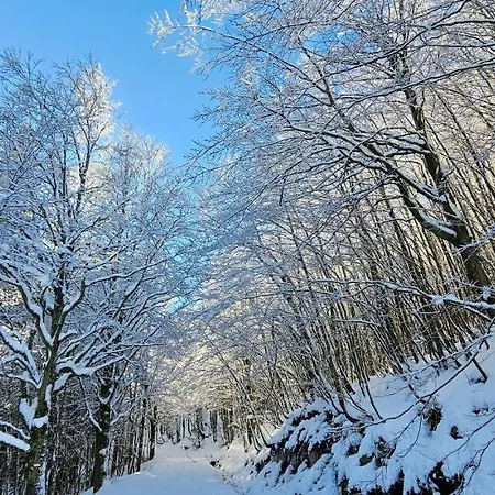 A Bordo Pista - Val Di Luce Daire *