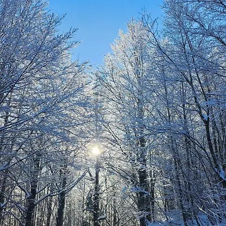 A Bordo Pista - Val Di Luce *