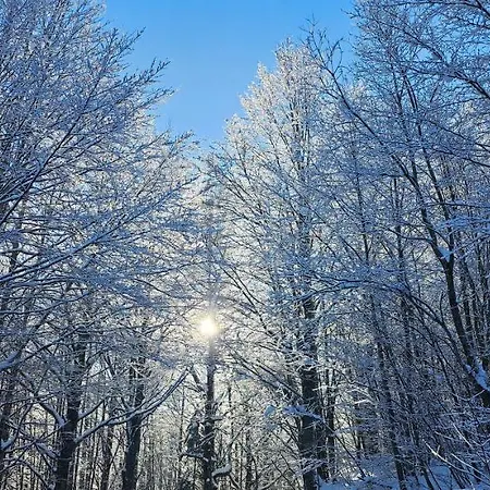 A Bordo Pista - Val Di Luce *